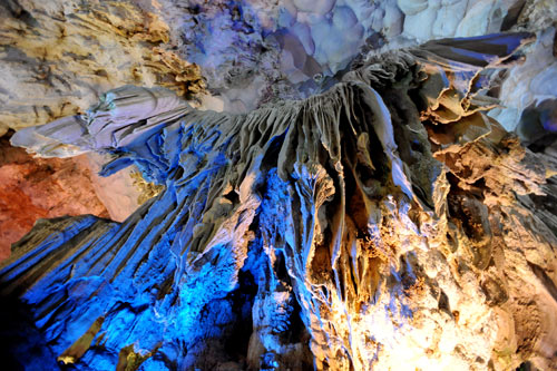 tour du lich ha long